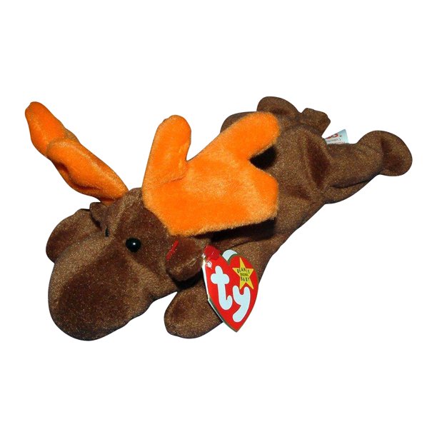 Chocolate the Moose
