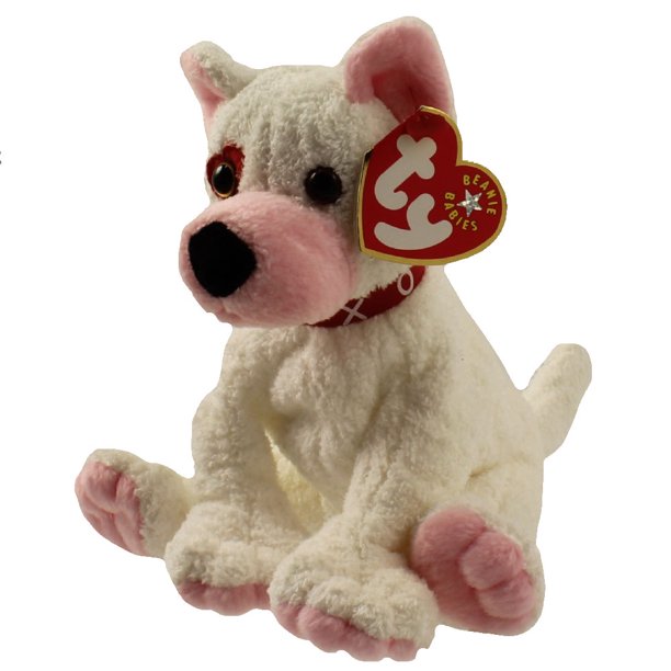 Cupid the Dog (R-Eye)