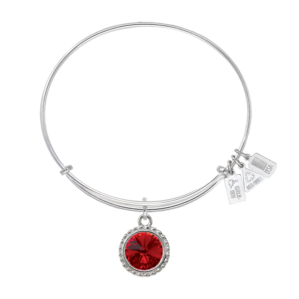 January Birthstone Charm Bangle