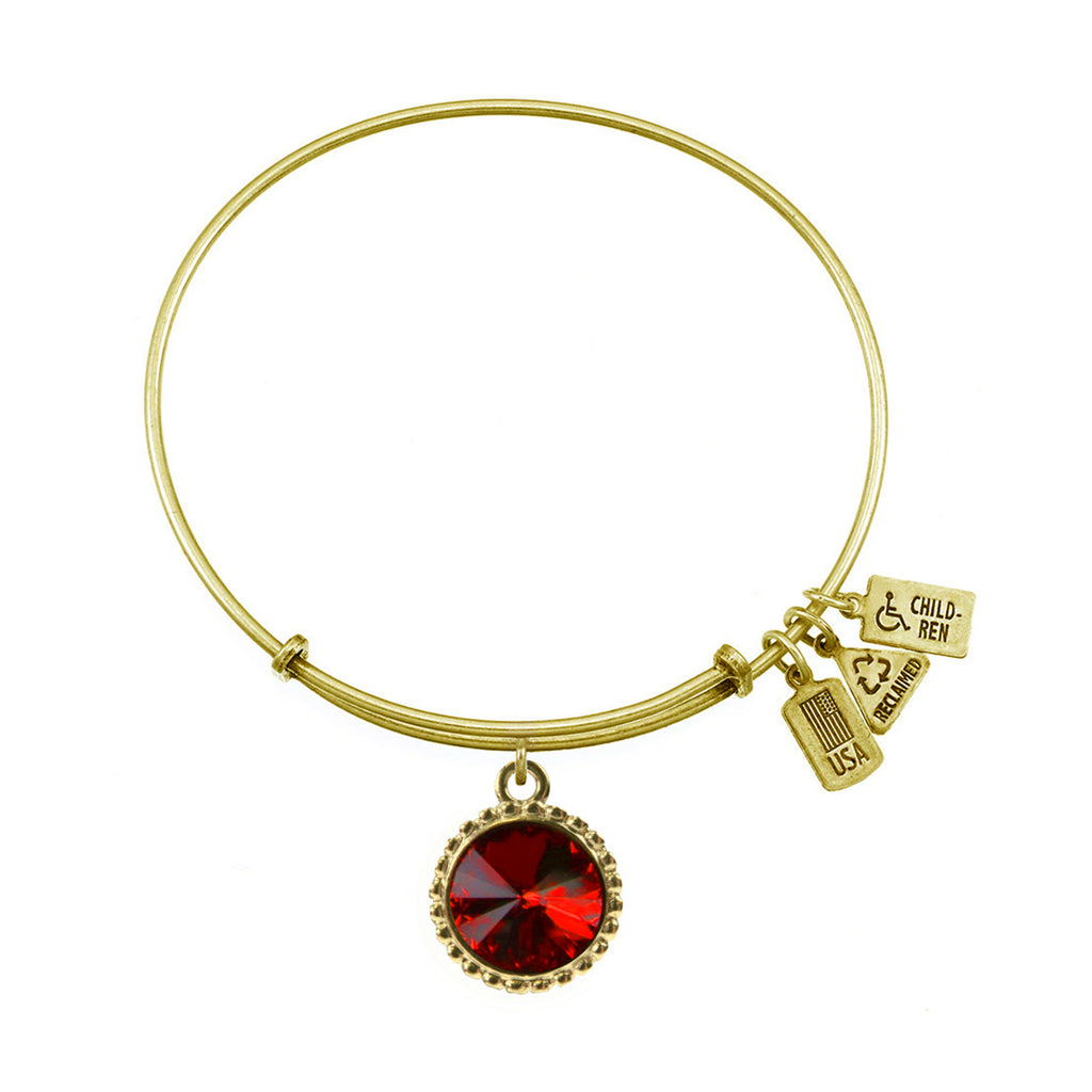 January Birthstone Charm Bangle