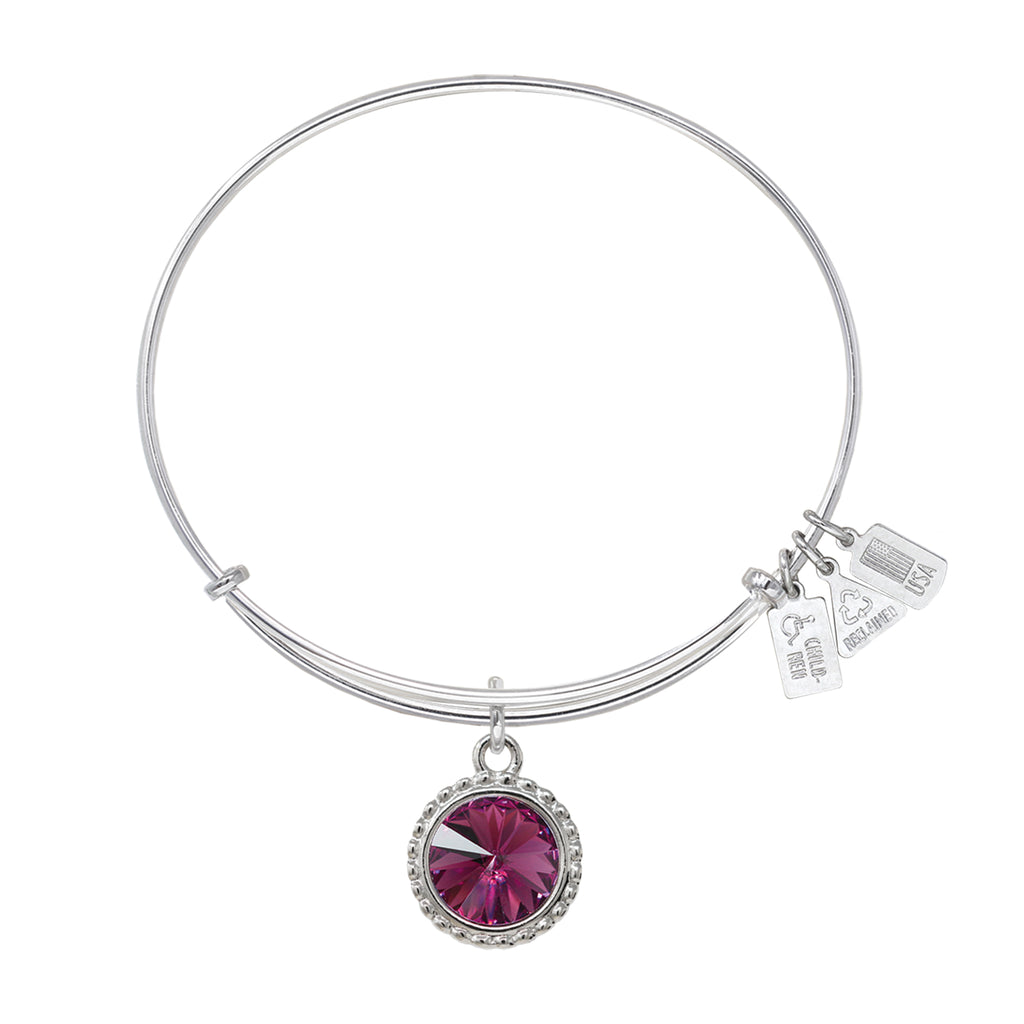 February Birthstone Charm Bangle