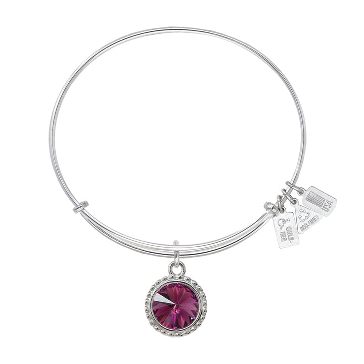 February Birthstone Charm Bangle
