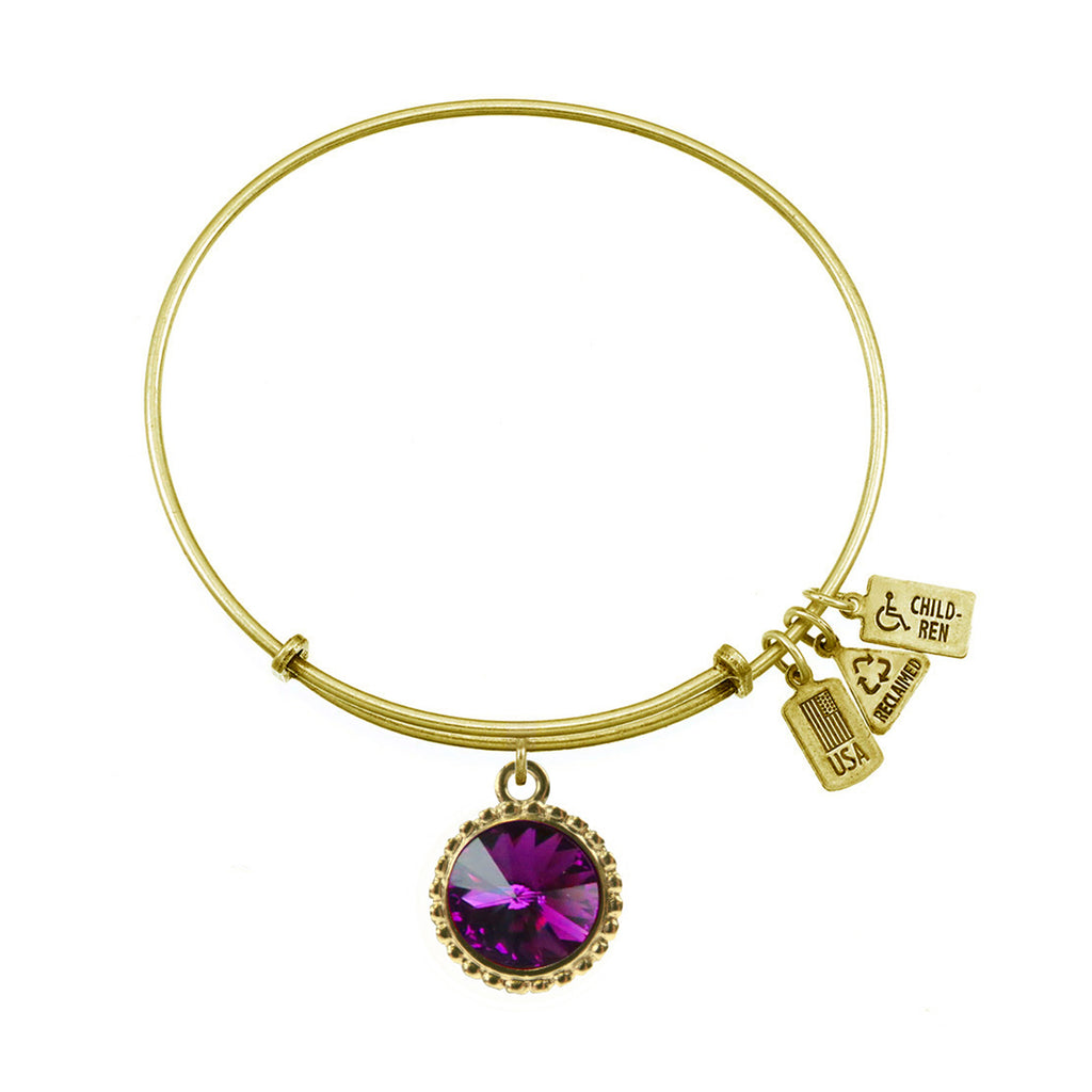 February Birthstone Charm Bangle