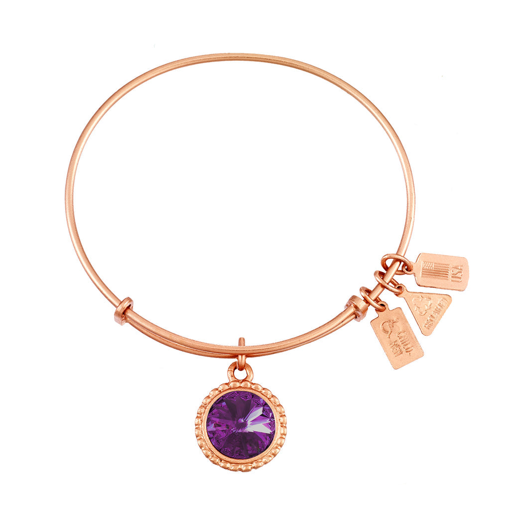 February Birthstone Charm Bangle