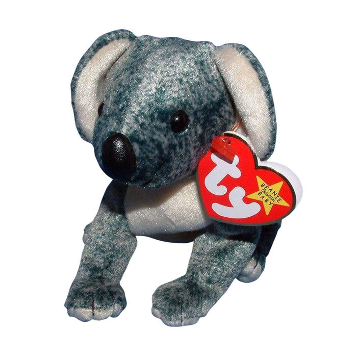 Eucalyptus the Koala