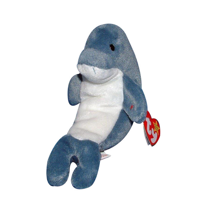 Echo the Dolphin